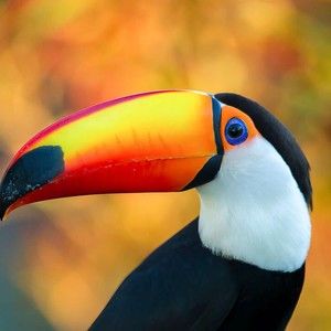 Meet your Posher, Claire